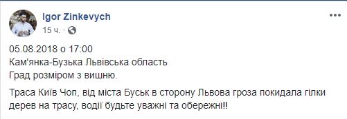 "Размером с вишню": во Львовской области выпал крупный град